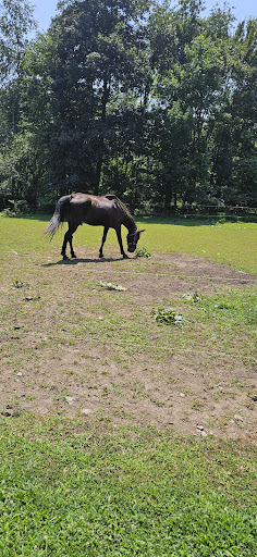 Photo from customer review