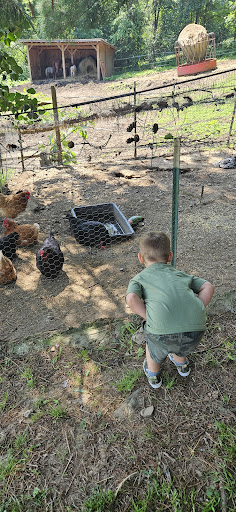 Photo from customer review