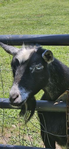 Photo from customer review