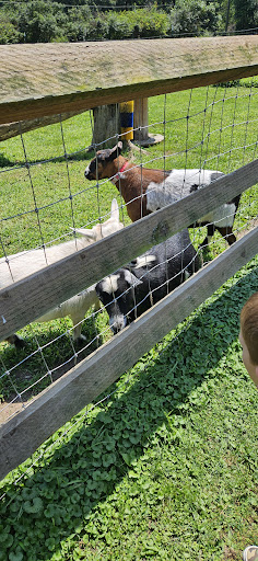 Photo from customer review