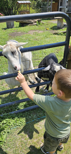 Photo from customer review