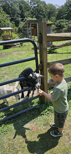 Photo from customer review