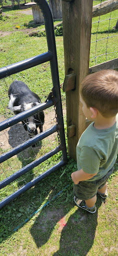 Photo from customer review