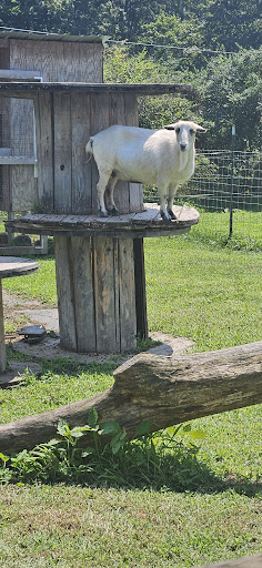 Photo from customer review