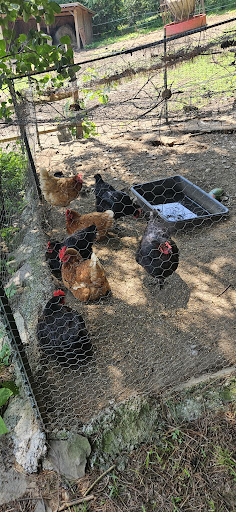 Photo from customer review