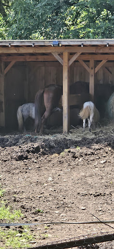 Photo from customer review