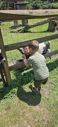 Photo from customer review