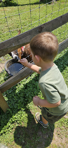 Photo from customer review